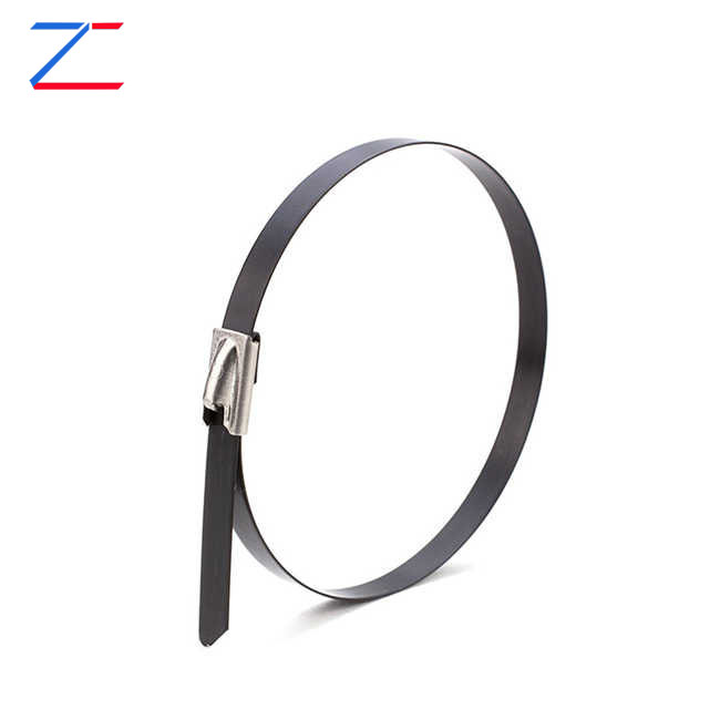 কেন প্রলিপ্ত স্টেইনলেস স্টীল তারের বন্ধন চয়ন?